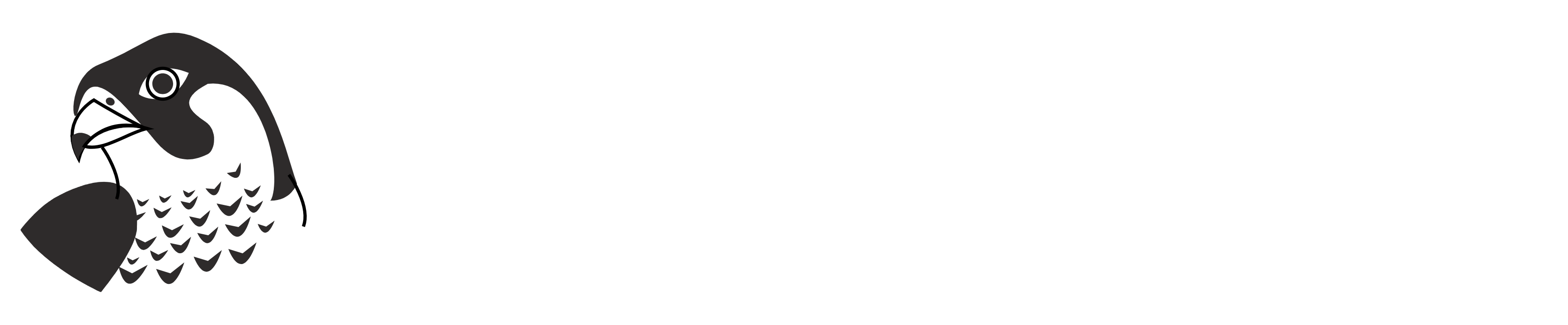 Royal Falcon Foundation